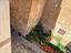Immagine 15