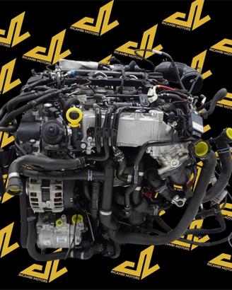Motore Volkswagen 2.0 DFT 2018