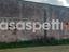 Immagine 25