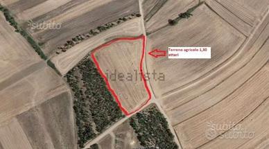 Terreno agricolo Sestu Ollastu Mannu