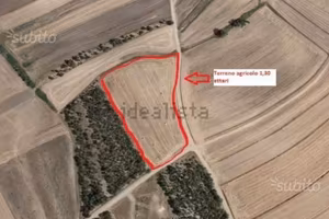 Terreno agricolo Sestu Ollastu Mannu