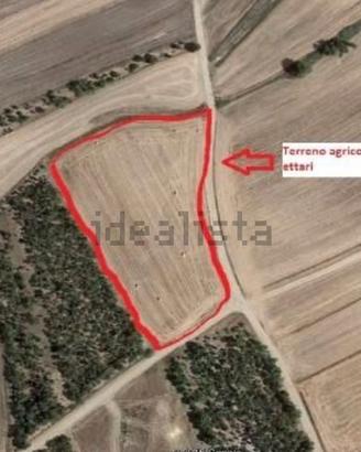 Terreno agricolo Sestu Ollastu Mannu