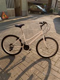 Bicicletta