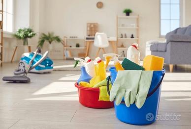 Pulizie e riordino case,appartamenti,stiro ecc