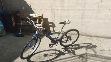 MTB 24