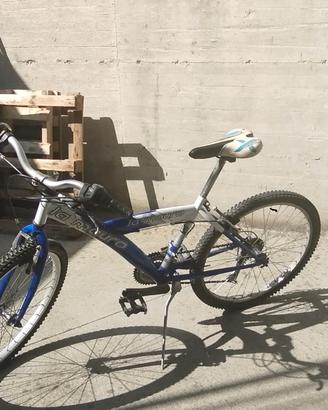 MTB 24