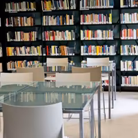 Consulenza tesi di laurea e tesine