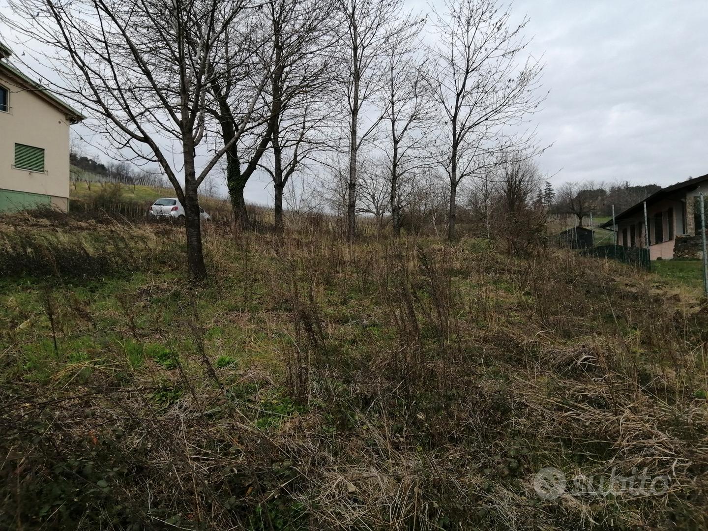 Terreno Oltrepo' Pavese - Vista 4