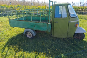 Ricambi APE Piaggio 600