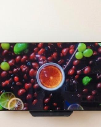 TV OLED LG 65BX6 4K 120 HZ