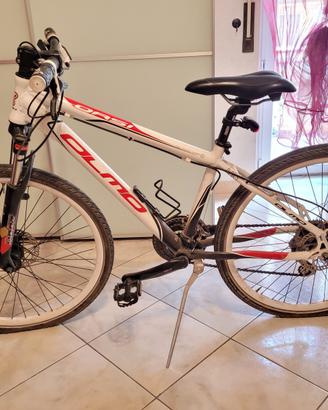 Bici Olmo