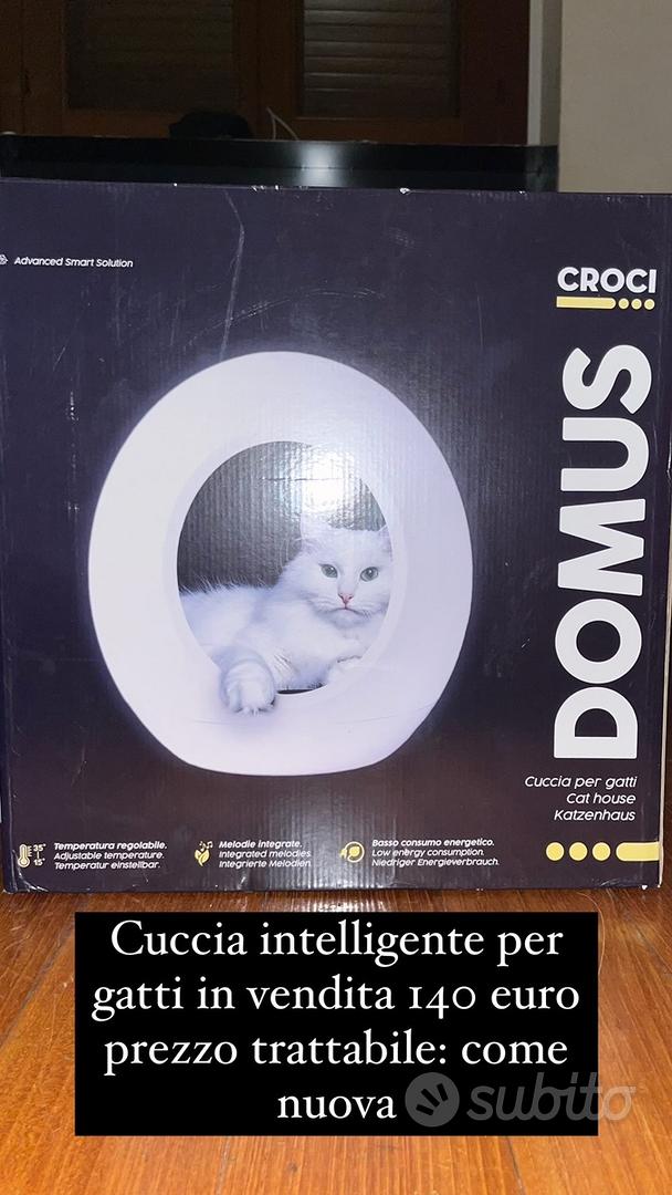 Domus croci per gatti - Animali In vendita a Bergamo