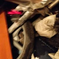 forcina/forcella Liberty 50)125)150