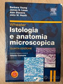 Istologia e anatomia microscopica