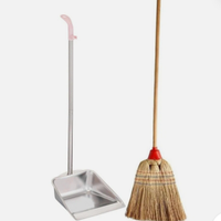 Addetta alle Pulizie domestiche