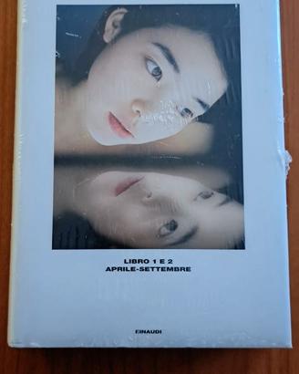 Romanzo H. Murakami 1Q84 libro 1 e 2