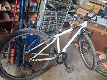 mtb da 9 a 12 anni usata 