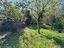 Immagine 19