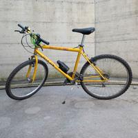 Bicicletta da uomo/ragazzo