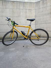 Bicicletta da uomo/ragazzo