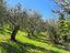 Immagine 13