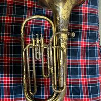 Basso tuba mib orsi