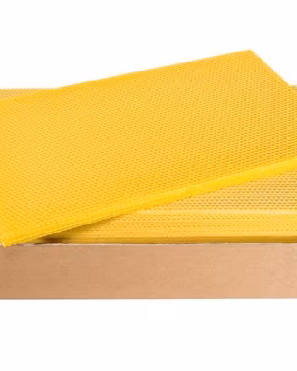 Apicoltura