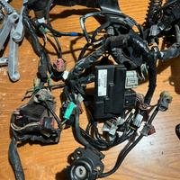 Cablaggio honda cbr 600rr