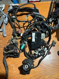 Cablaggio honda cbr 600rr