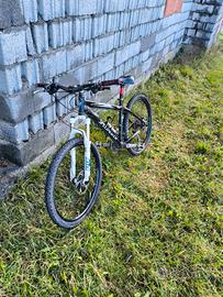 bici MTB specialized