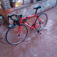 Bicicletta da strada