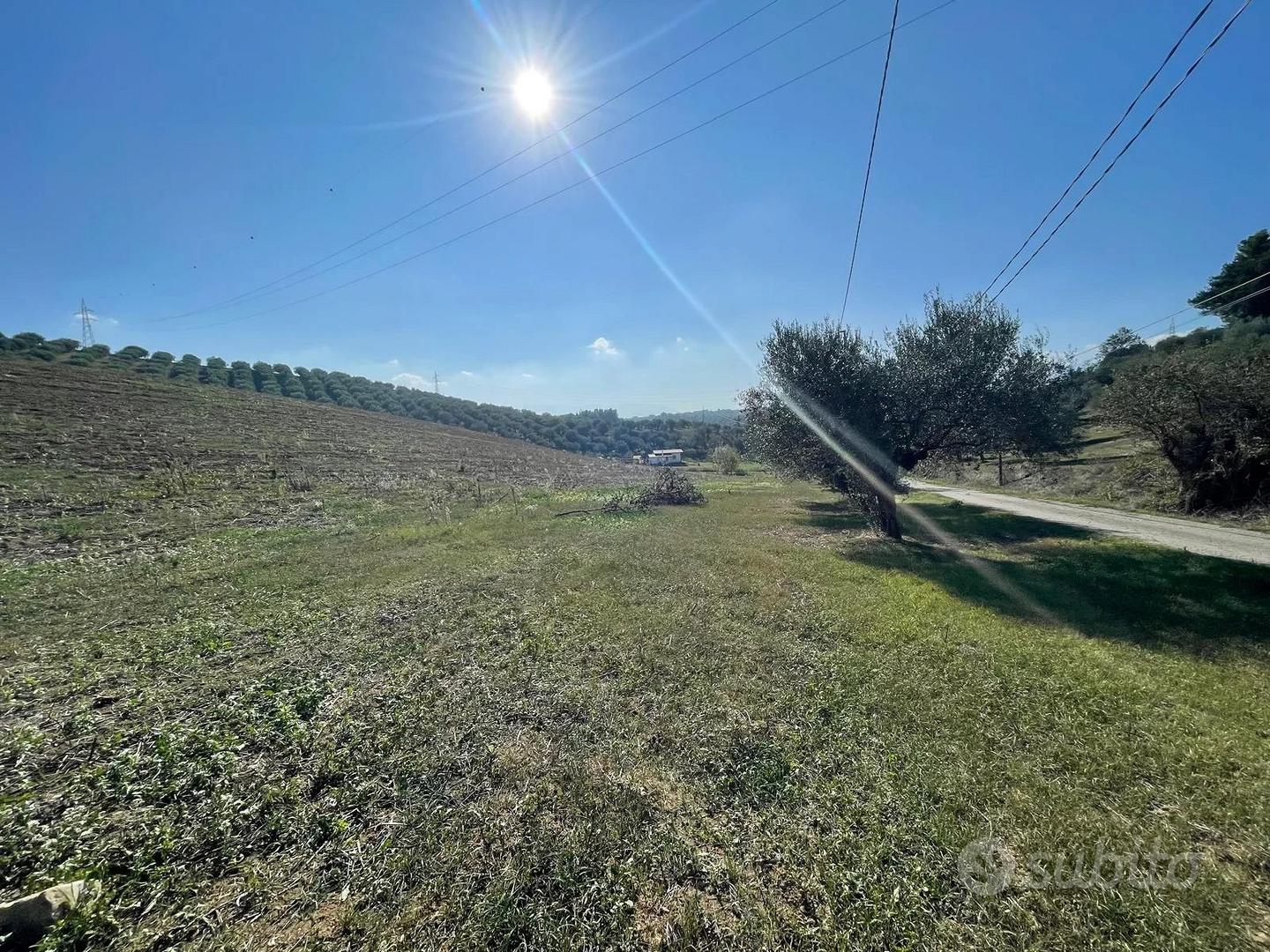 TERRENO AGRICOLO - Vista 4