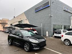 FORD Kuga 2.0 EcoBlue 120 CV aut. ST-Line