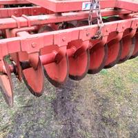 Frangizolle Biagioli 