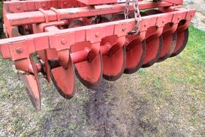 Frangizolle Biagioli 