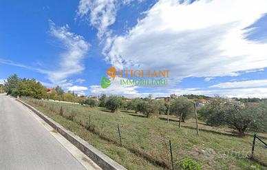 Terreno Agricolo, Contrada Colle delle Api - Ca...