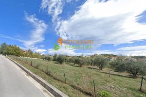 Terreno Agricolo, Contrada Colle delle Api - Ca...