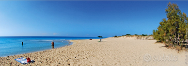 Casa sul amre a leuca torrevado pescoluse