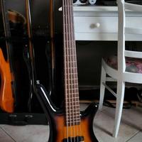 Basso Warwick Corvette 5 GPS  Teambuilt 