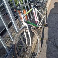 Bicicletta bici Girardengo