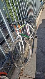 Bicicletta bici Girardengo