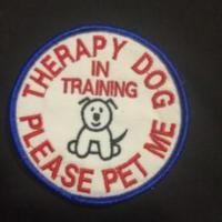 Patch toppa ricamata pet-therapy cane