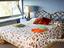 Immagine 25