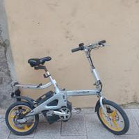 bicicletta elettrica a pedalata assistita 