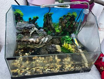 Teca completa di tutto con tartarughe