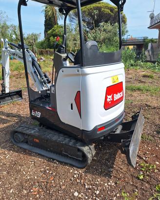 scavatore Bobcat e19