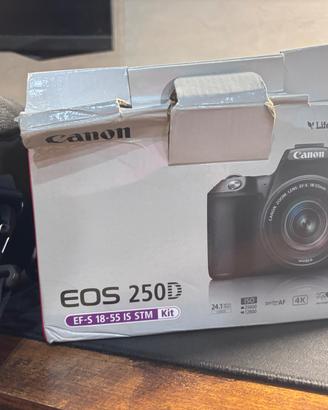 Canon EOS 250D Silver + 18-55 IS STM + borsa