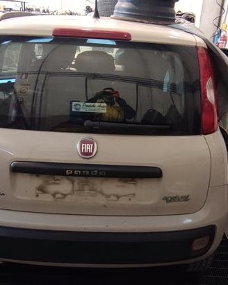 paraurti stop Fiat panda 2012