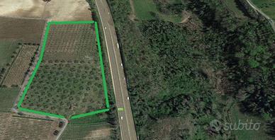 Terreno di 21475 m² a Ortona