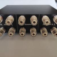 switch controller di amplificatori o speaker